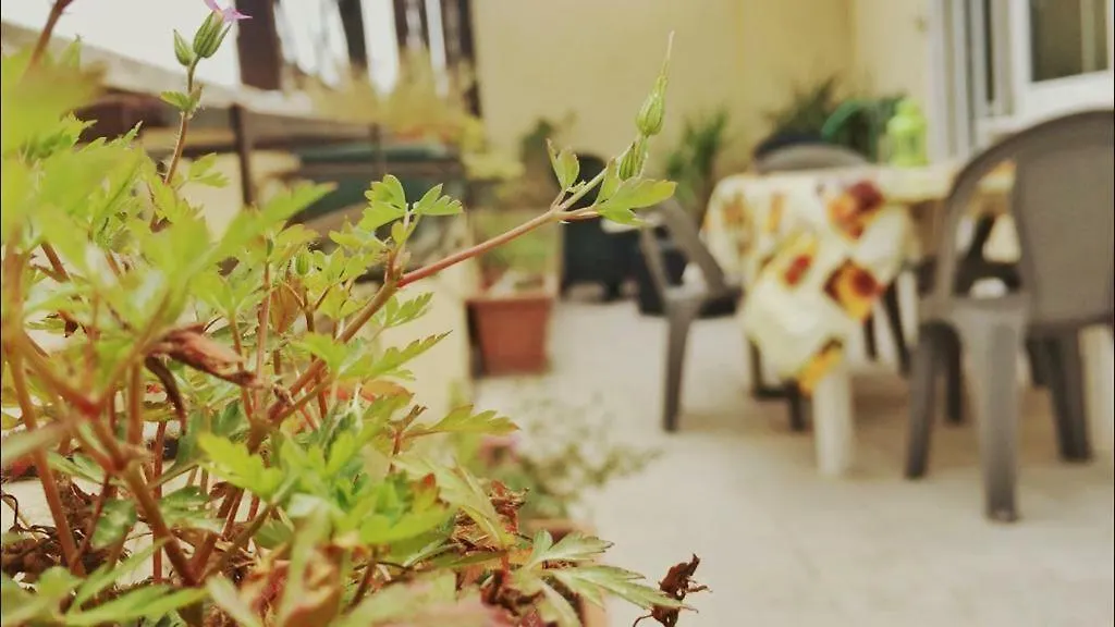 Apartment Girasolereale Rome City Italy